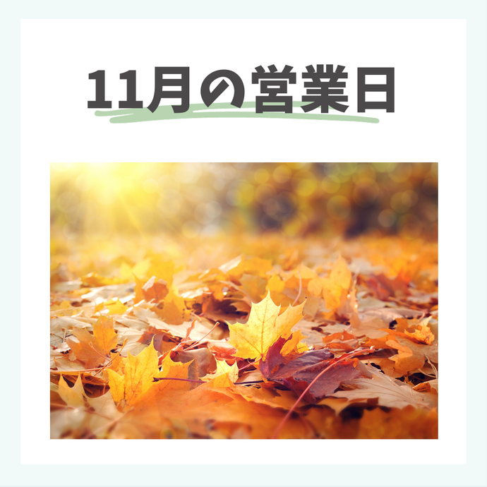 11月の営業日